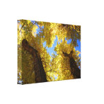 tremble impression sur toile