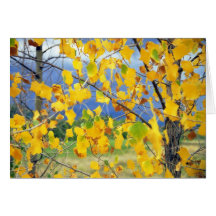 Trembles d'automne cartes
