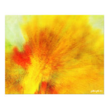 Trembles d'automne impressions photographiques