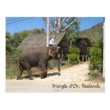 Triangle d'Or, Thailande Postcard