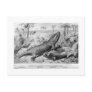 Triassic reptiles and amphibian art postcard