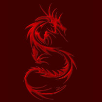 Tribal Dragon t-shirts