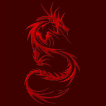 Tribal Dragon t-shirts
