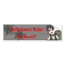 Tribal Fusion Belly Dancer Slogan Car Sticker Bumper Stickers