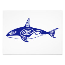 Tribal Killer Whale Photo