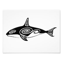 Tribal Killer Whale Photograph