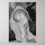 Triceps Gym Wall & Health Club Poster