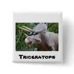 Triceratops/Dinosaurs Button
