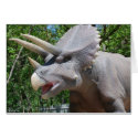 Triceratops/Dinosaurs cards
