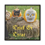 Trick Or Treat Eerie Pumpkins on Haystack Magnets