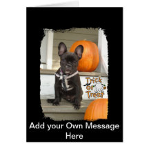 Trick or Treat Pup Greeting Cards