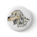 Tricolor English Setter buttons