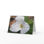 Trillium Card