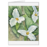 Trillium Card