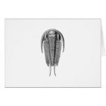Trilobite Greeting Card