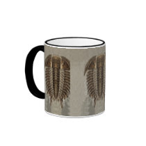 Trilobite Fossil Mug
