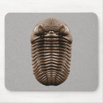 Trilobite Mousepad