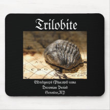 Trilobite Tapis De Souris