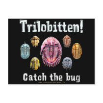Trilobitten Post Cards