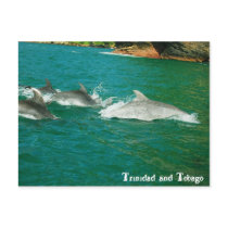 Trinidad and Tobago Postcard
