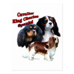 Trio cavalier 2 d'épagneul du Roi Charles Carte Postale
