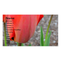 Trio de tulipe cartes de visite personnelles