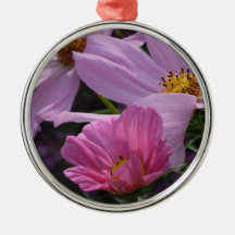Trio of Cosmos Ornament