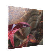 Trio of Diamond Drops Canvas Print
