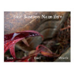 Trio of Diamond Drops; Promotional Postcards