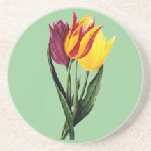 Trio of Spring Tulips Drink Coaster
