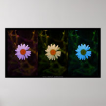 trio vif affiches