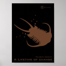 Triolobite Ordovici Poster