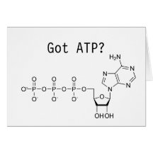 Triphosphate d'adénosine obtenu ? carte de vœux