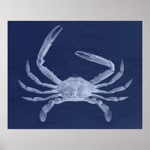 Triptyque surdimensionné de crabe dans le bleu affiches