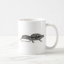 Triturus_marmoratus Tasse À Café