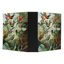 Trochilidae Hummingbirds, Ernst Haeckel Binder