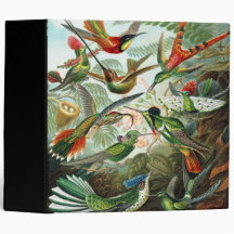 Trochilidae Hummingbirds, Ernst Haeckel Binder