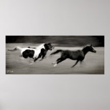 Trois chevaux galopants posters