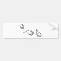 TROIS LAPINS BUMPER STICKER