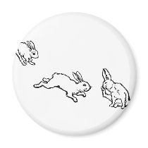 TROIS LAPINS MAGNETS