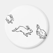TROIS LAPINS MAGNETS