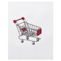Trolley Flyers