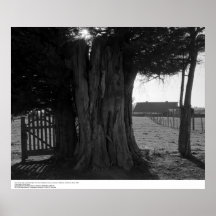 Tronçon d'arbre, porte, et grange éloignée, mars 1 affiches