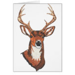 Trophy Buck Rack Mount Greeting Cards
