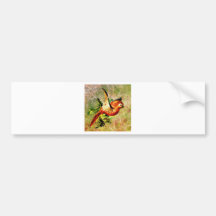TROPIC FREEDOM.jpg Bumper Stickers