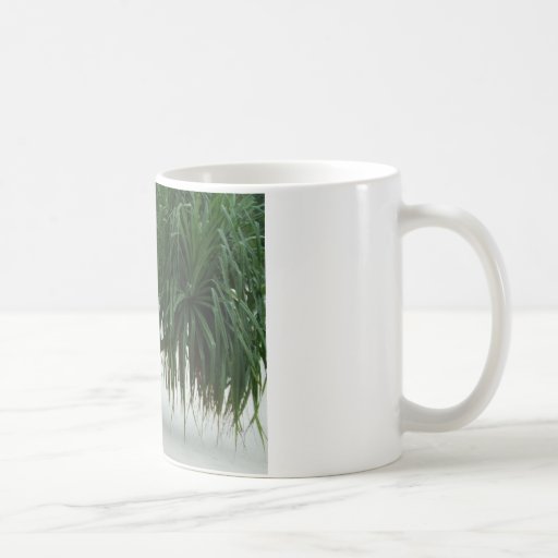 tropical beach in Asia Coffee Mug