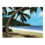 Tropical beach painting post cards