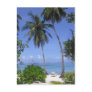 Tropical Beach Post Card