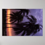 Tropical Beach Sunset Print