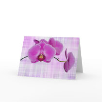 Tropical Beauty Cards